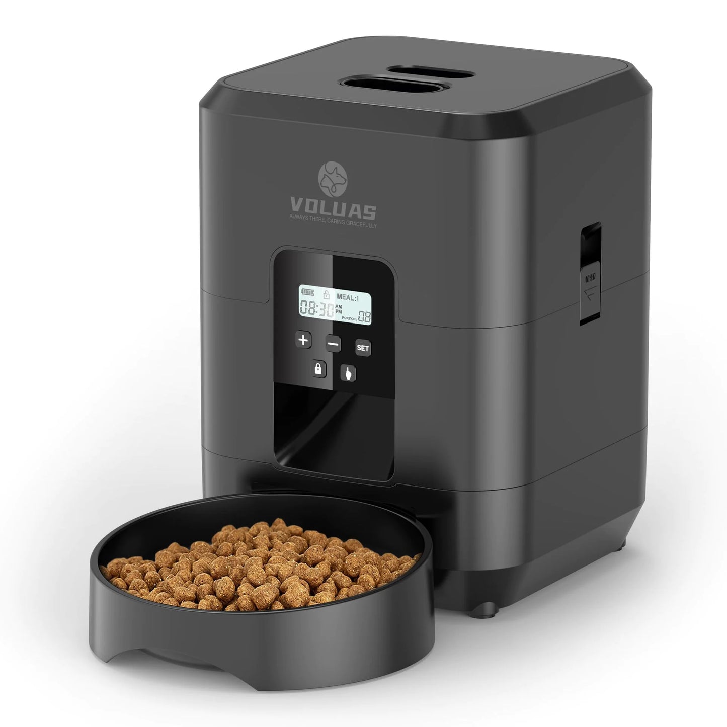 SmartFeed Companion