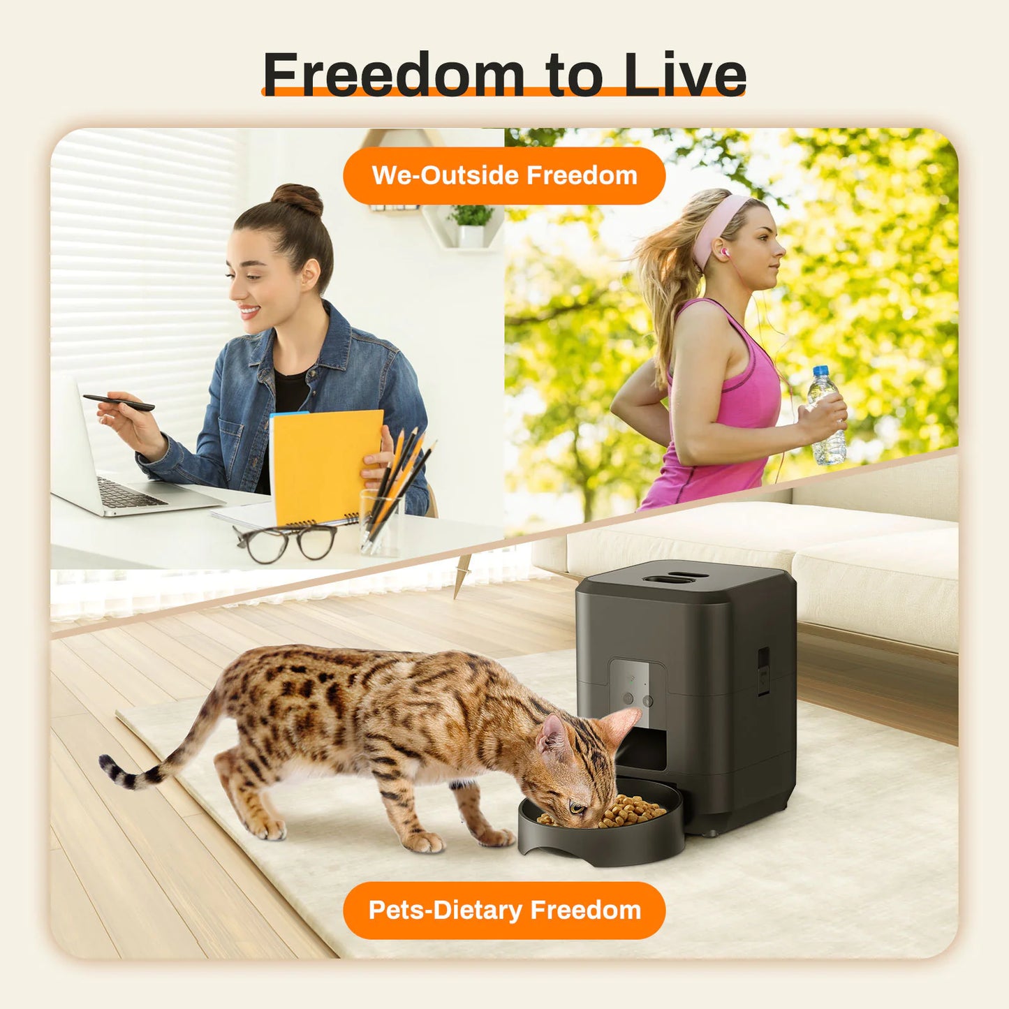 SmartFeed Companion