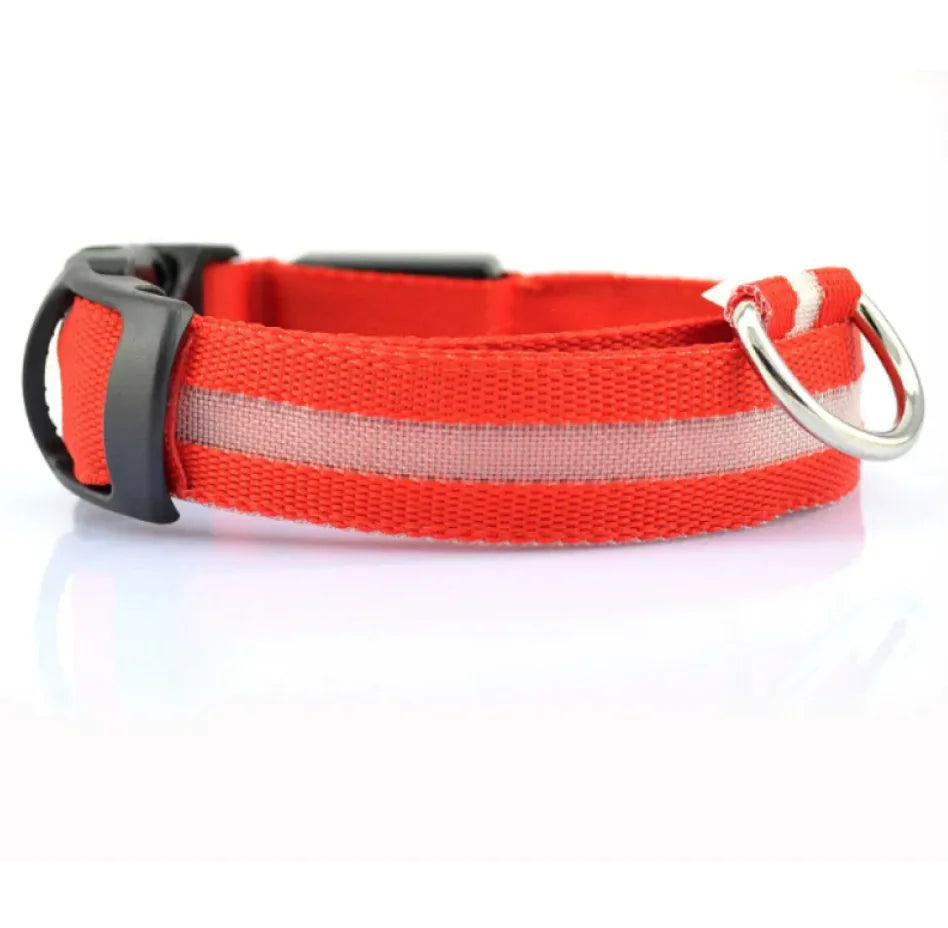 LED Safety Dog Collar