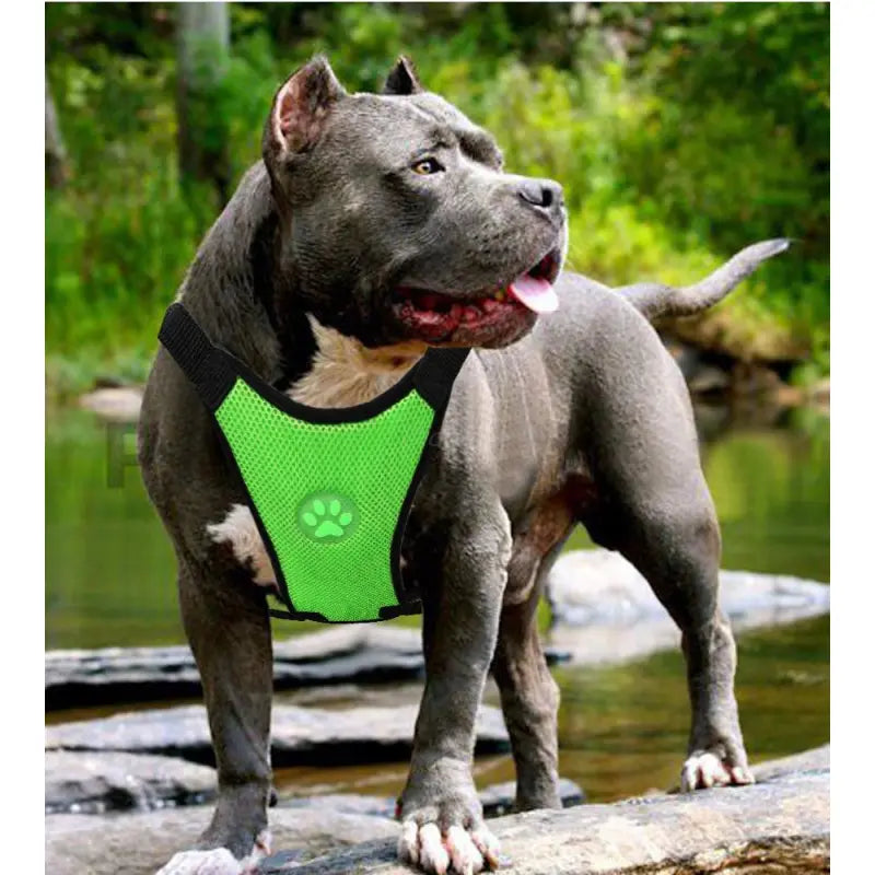 Breathable Mesh Chest straps Pet car safety chest back